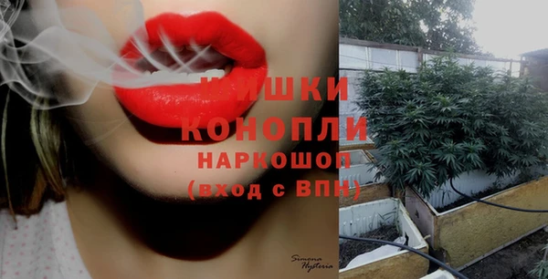 эйфоретик Пролетарск