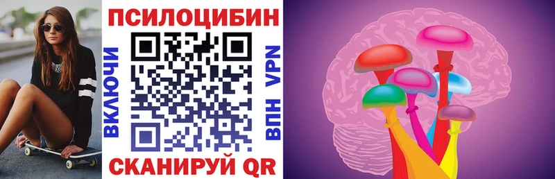 где найти наркотики Вичуга Галлюциногенные грибы Psilocybine cubensis